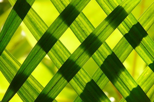 漢方「杞菊地黄丸」で頭痛がちょっとよくなった..