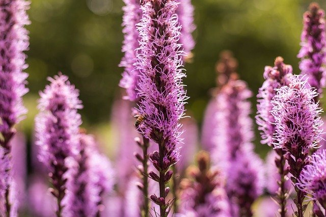 今日は足首が痛い。頭はちょっとだけ痛い。鎮痛剤飲ま..