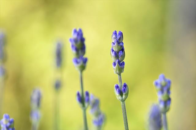 「疑心暗鬼になる」の治し方